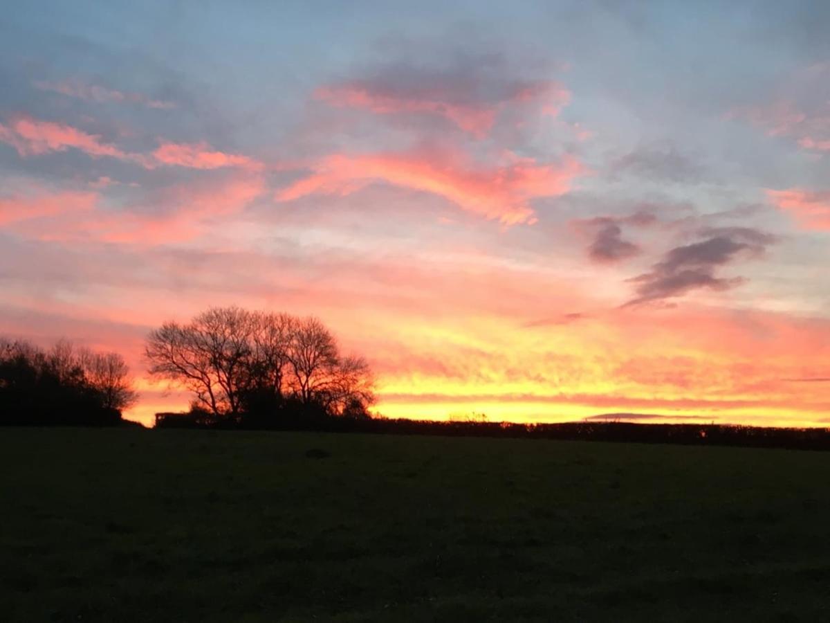 Award Winning Lower Whitsleigh Farm Cottage Roborough ภายนอก รูปภาพ
