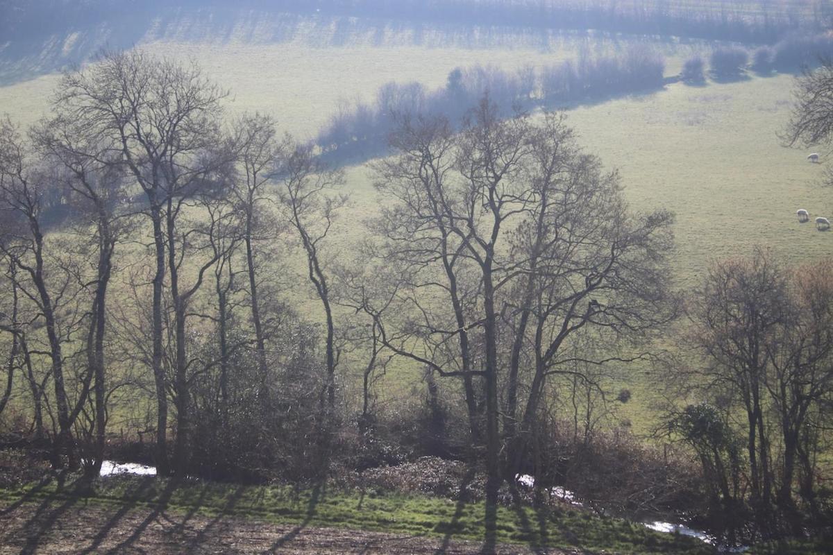 Award Winning Lower Whitsleigh Farm Cottage Roborough ภายนอก รูปภาพ